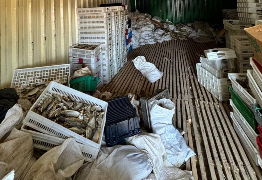 Предпринимателя обвиняют в хищении 11 тонн рыбы в Ростовской области