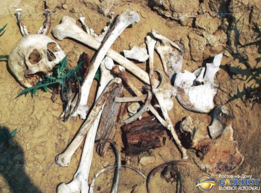 На берегу Цимлянского водохранилища в Ростовской области обнаружены человеческие кости