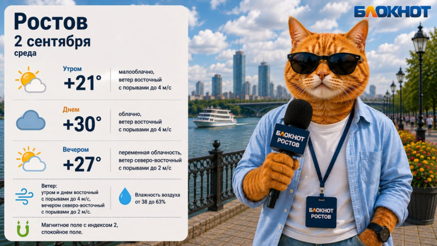 В Ростове 2 сентября жара до +30 градусов