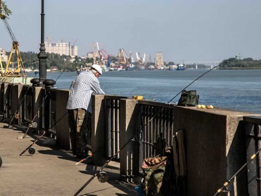 Осень все ближе: солнечная и прохладная пятница пришла в Ростов