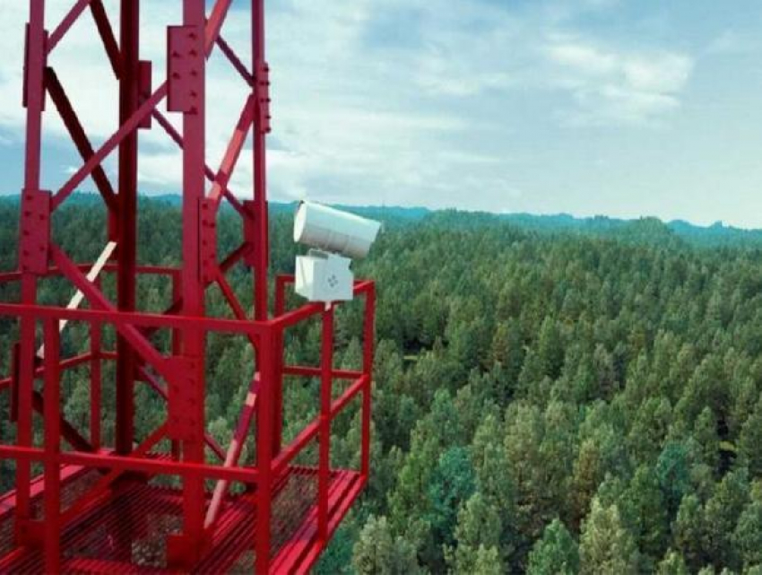 В Ростовской области с борьбе с лесными пожарами помогут «умные» камеры