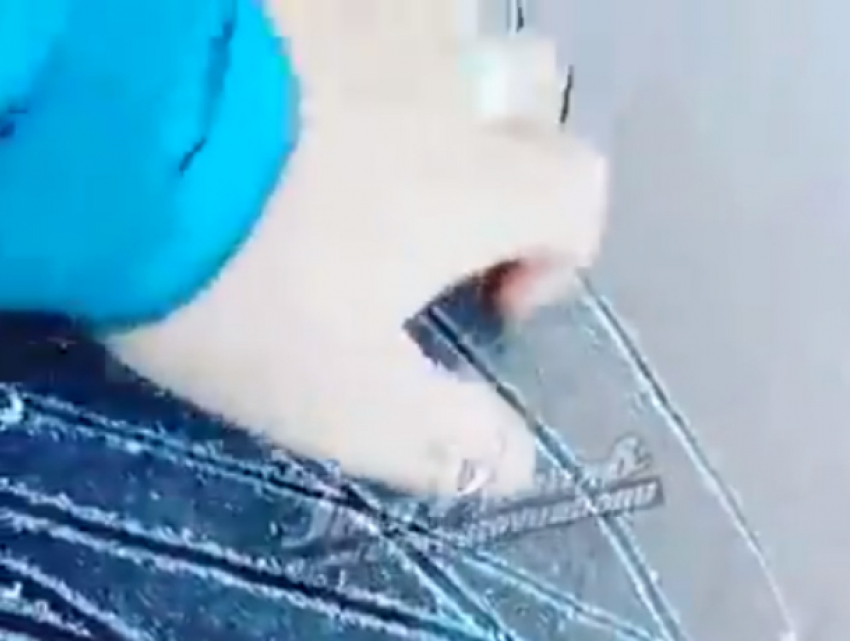 Покрытые инеем и замерзшие за ночь автомобили шокировали жителей Ростова на видео