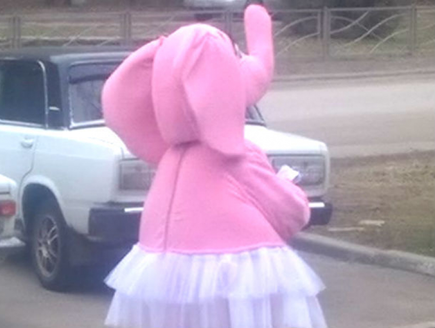 Розовая слониха в белой юбочке на улице Таганрога вызвала у мужчины желание жениться