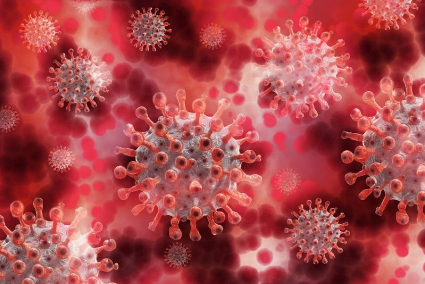 Еще 129 человек заболели коронавирусом в Ростовской области