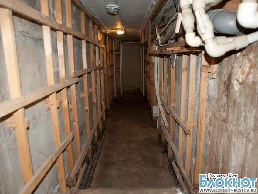 В Ростове прокуратура проверит управляющую компанию за кладбище домашних животных в подвале 