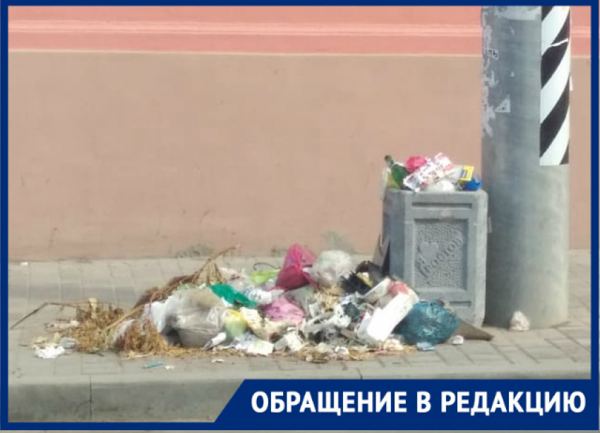 «Стыдоба, в центре Ростова мусорную кучу не убирают целую неделю»»: ростовчанка пожаловалась на «качественную» работу коммунальщиков