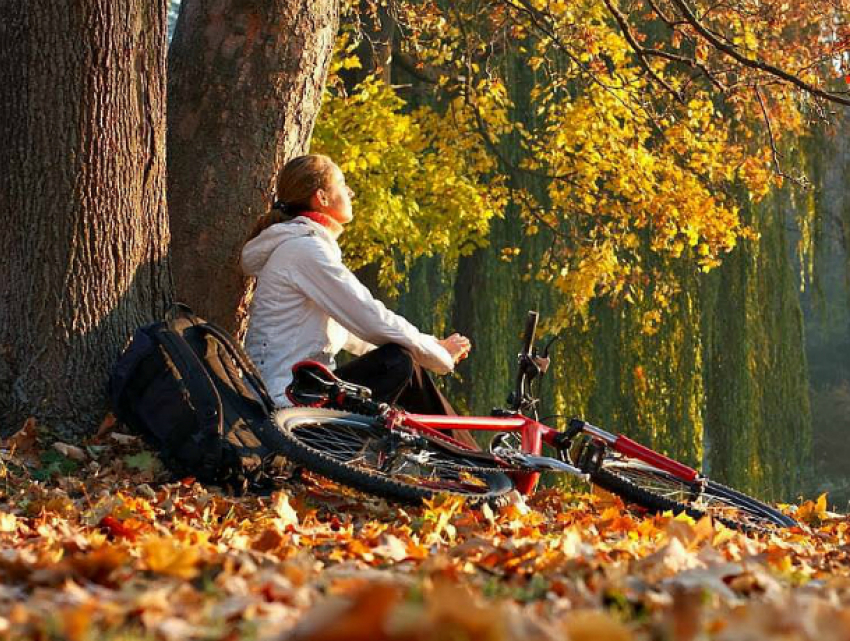 Приятное потепление поманит на природу разомлевших жителей Ростова в это воскресенье 