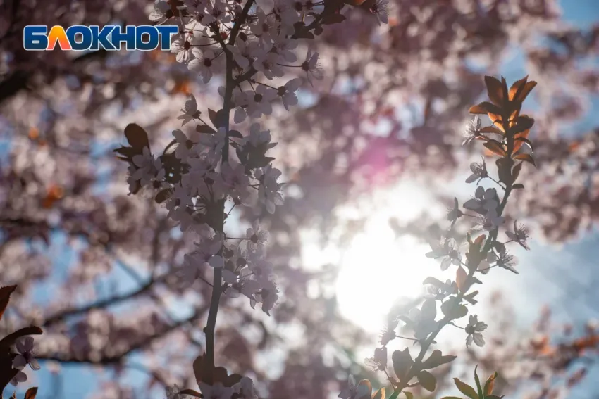 Что нельзя делать в день весеннего равноденствия 