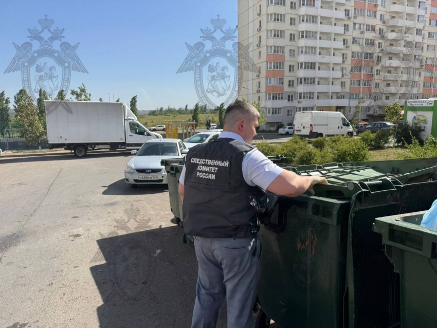 Мать найденного в мусорке новорожденного год хранила малыша в морозилке 