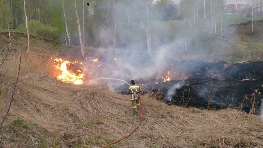 Серьезный пожар в Кумженской роще тушили около пяти часов
