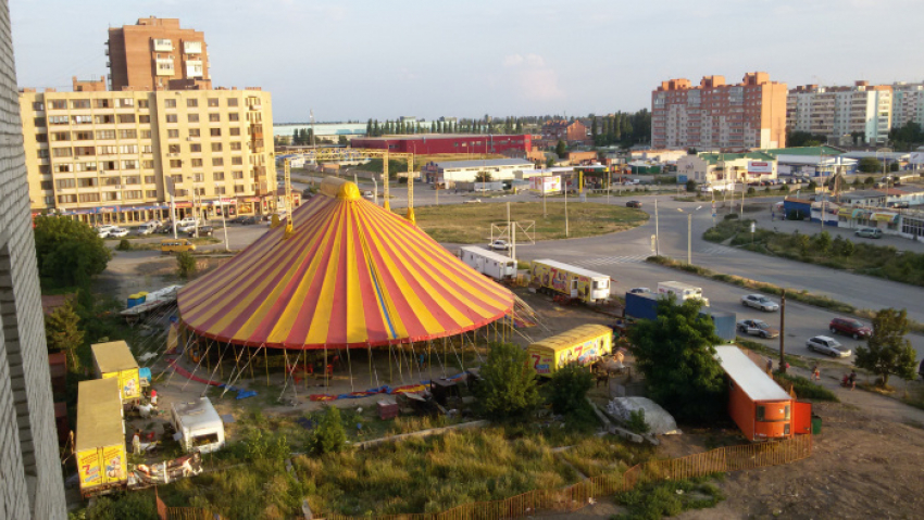 В Таганроге местные жители борются за цирк