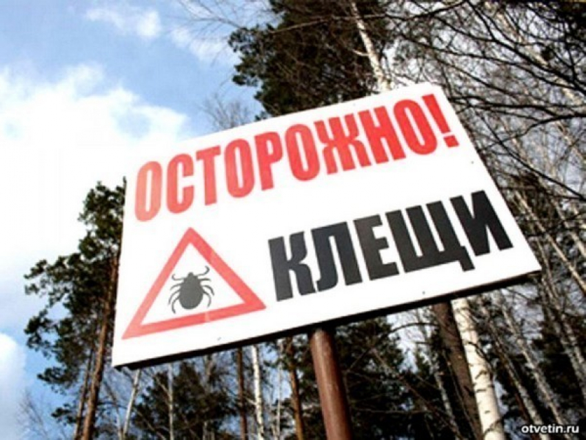 В Ростовской области от укусов клещей крымской лихорадкой заболели 43 человека, 2 скончались