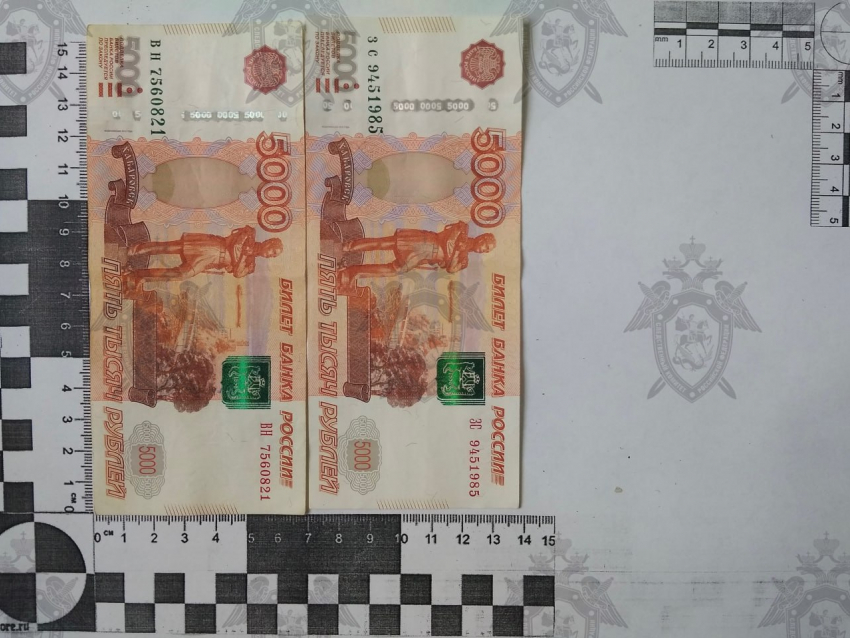 В Ростове начальника пункта полиции и его подчиненного задержали за взятку