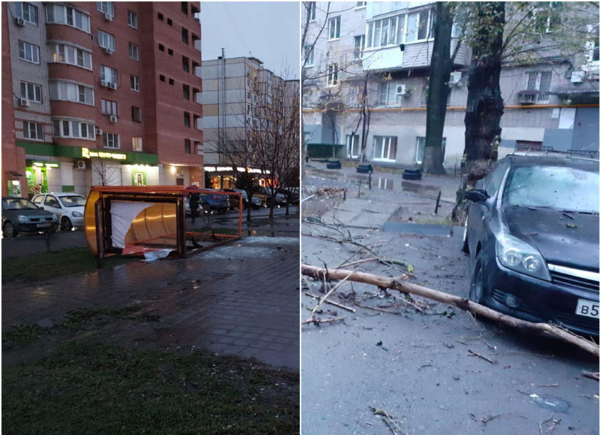 Деревья падали на машины, повалены остановки: показываем последствия ливня и ураганного ветра в Ростове