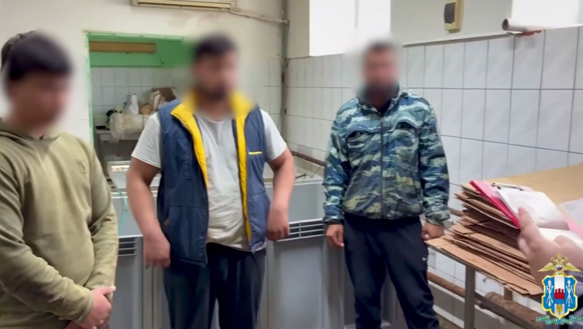 В Азовском районе силовики нашли нарушения миграционного режима на рыбном предприятии