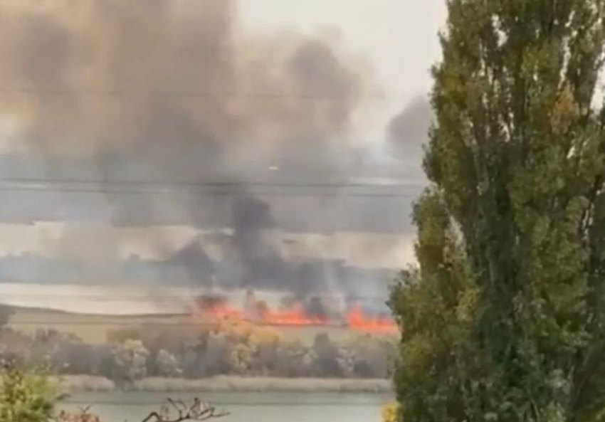 Ландшафтный пожар разгорелся на левом берегу Дона