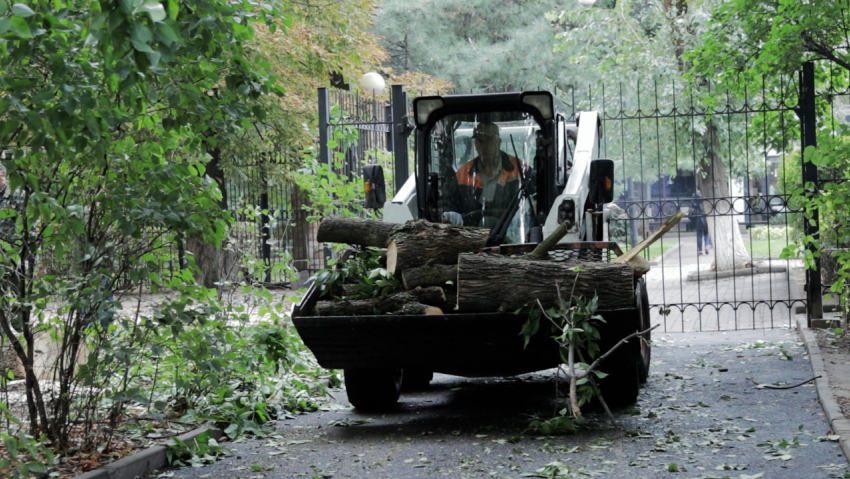 В центре Ростова жители борются с администрацией и ЮФУ против вырубки деревьев