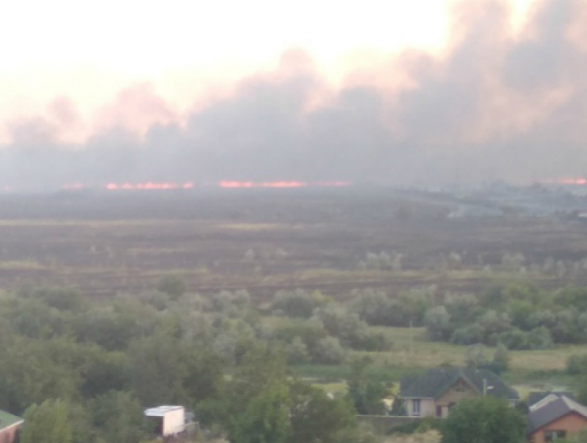 Крупный пожар в Кумженской роще Ростова потушили спустя 17 часов