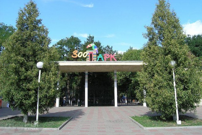 Первый этап реконструкции ростовского зоопарка обойдется в 200 миллионов рублей