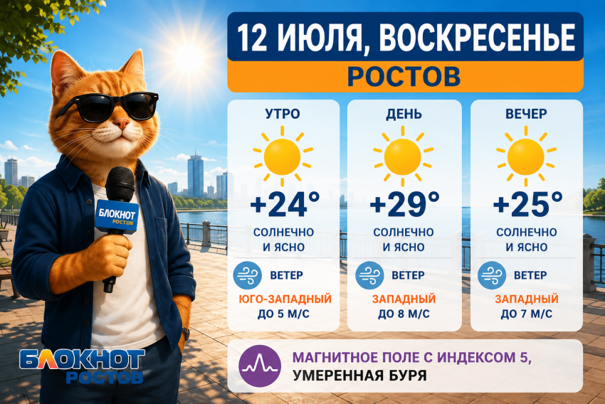 Жару до +29 прогнозируют синоптики в Ростове 12 июля