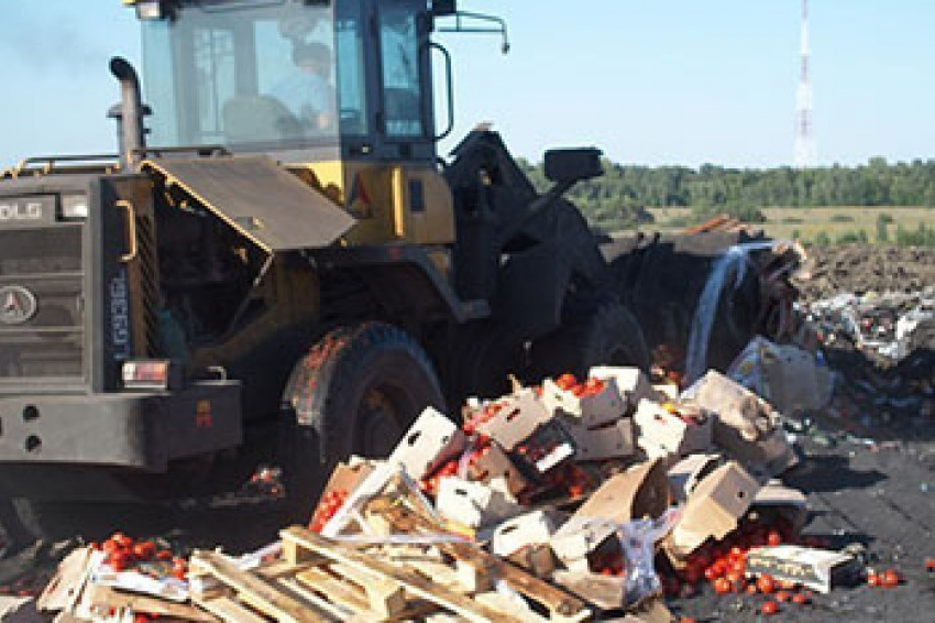  На Дону уничтожили 15 тонн томатов и шампиньонов из Польши 