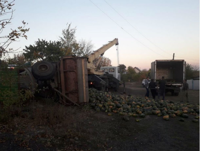 Хеллоуин отменяется: трактор, груженый тыквами, протаранил остановку в Ростовской области