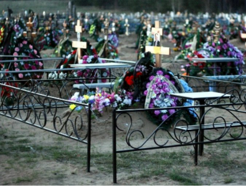 Могилы на новом ростовском кладбище начнут появляться уже осенью