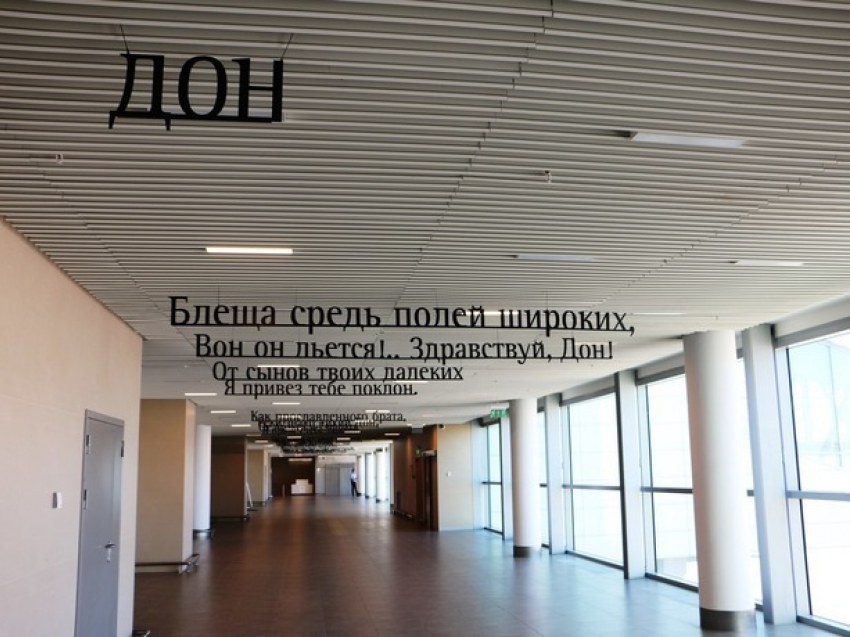 Пассажирам аэропорта «Платов» в Ростове предлагают насладиться Пушкиным и картинами в стиле «казачий поп-арт"