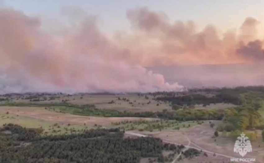 В Ростовской области полностью потушили крупный лесной пожар