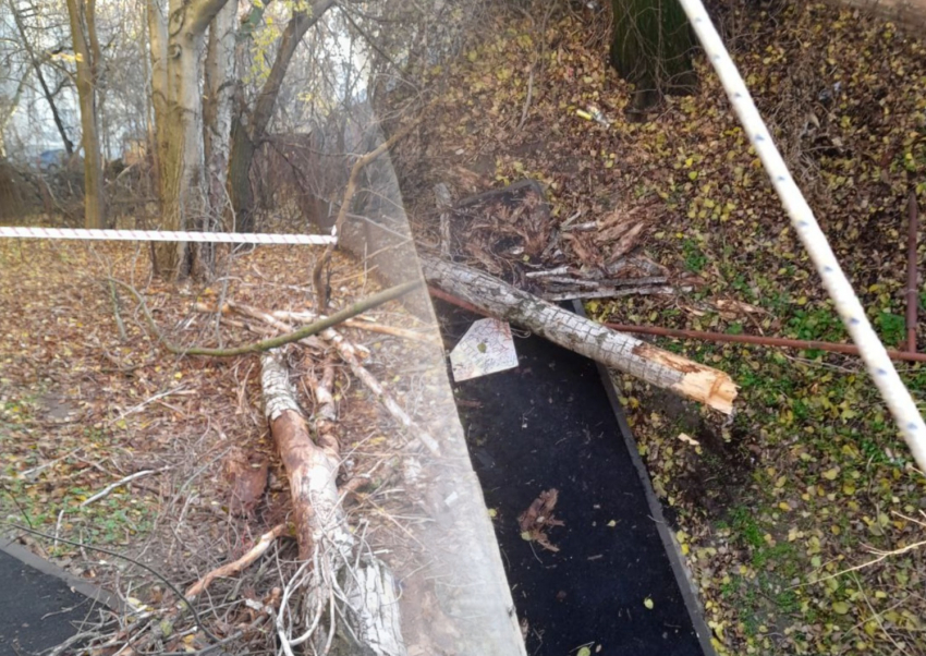 В центре Ростова отремонтировали газопровод, который пострадал при падении дерева