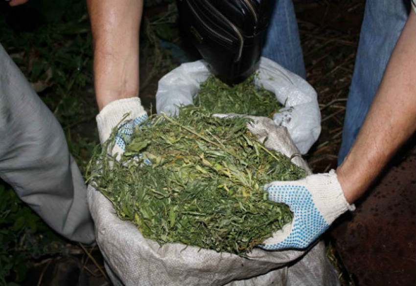 Забитый марихуаной чердак обнаружили в частном доме Ростовской области