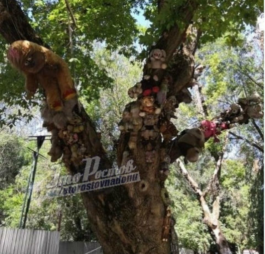 Жуткое «кладбище» мягких игрушек ликвидировали в Ростове