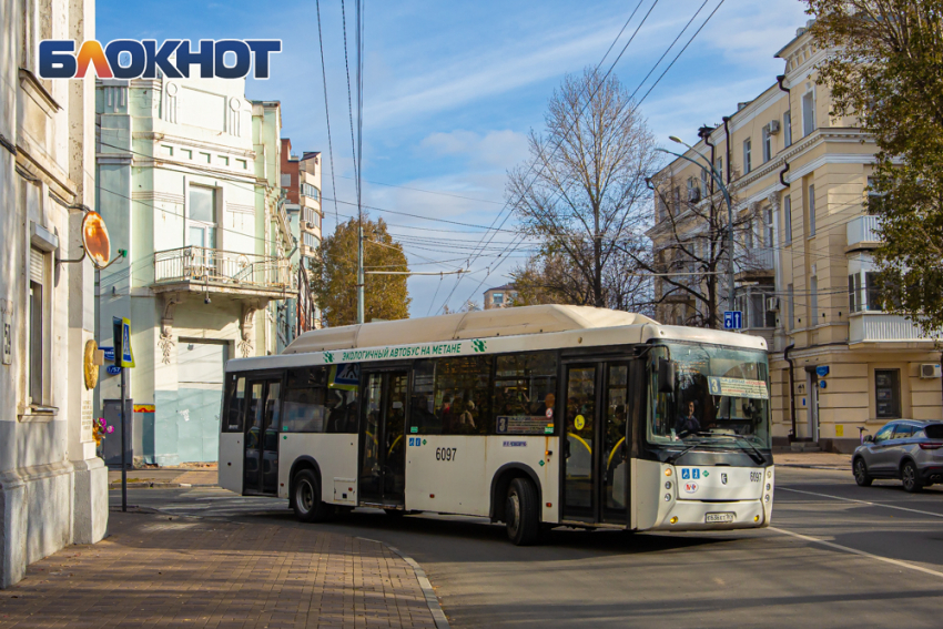 Ростовчане высказались о новой выделенной полосе для автобусов