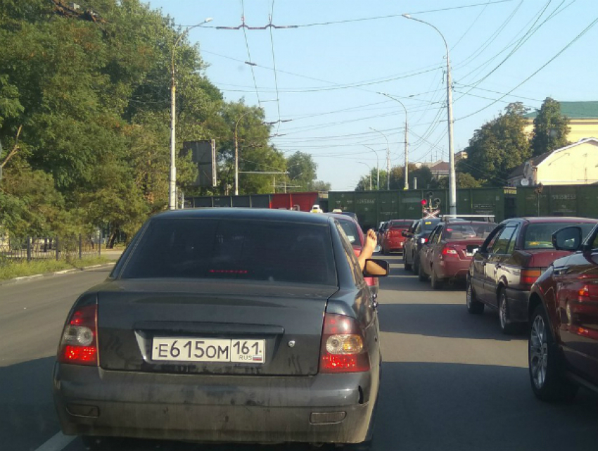 Проветривавший «вонючие» ноги в окне иномарки пассажир озадачил жителей Ростовской области 
