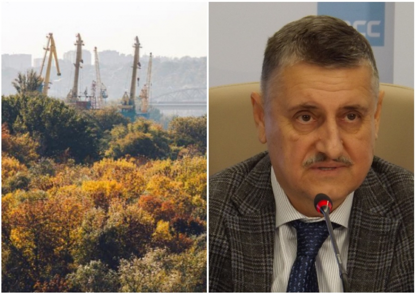 Рощу на левом берегу Ростова-на-Дону не застроят, а преобразуют в парк