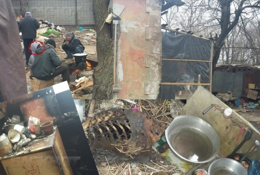 Дети из Волгодонска живут в сгоревшем доме и едят собачатину 