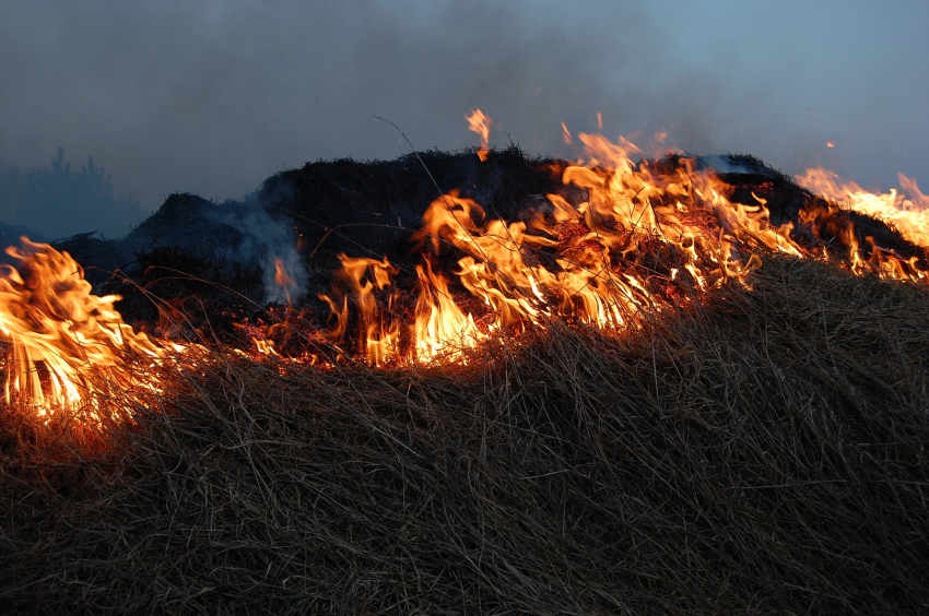 В Ростовской области тушат крупный ландшафтный пожар