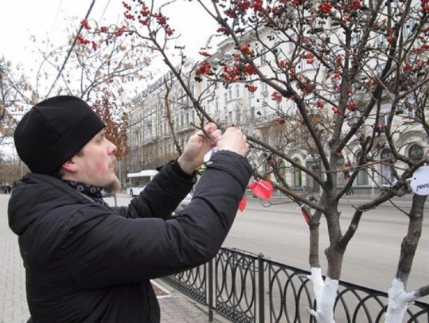 В парке Горького в Ростове появилось дерево памяти жертв ДТП