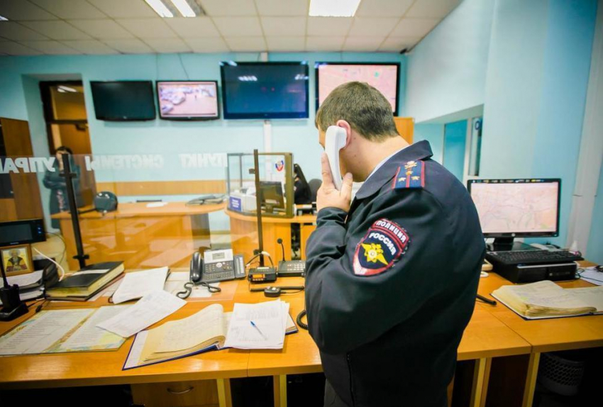 Труп без головы и конечностей нашли в лесополосе в Ростовской области 