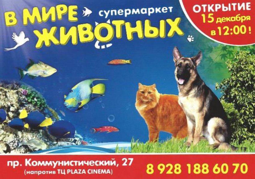 В «Мире животных» интересно взрослым и детям!