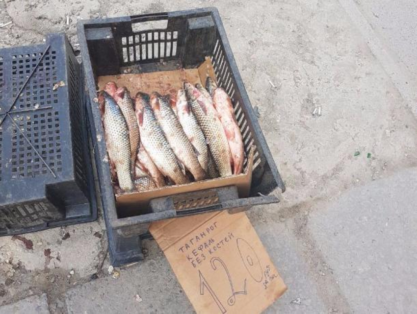 Опасные рыбу и мясо уничтожили в Ростове