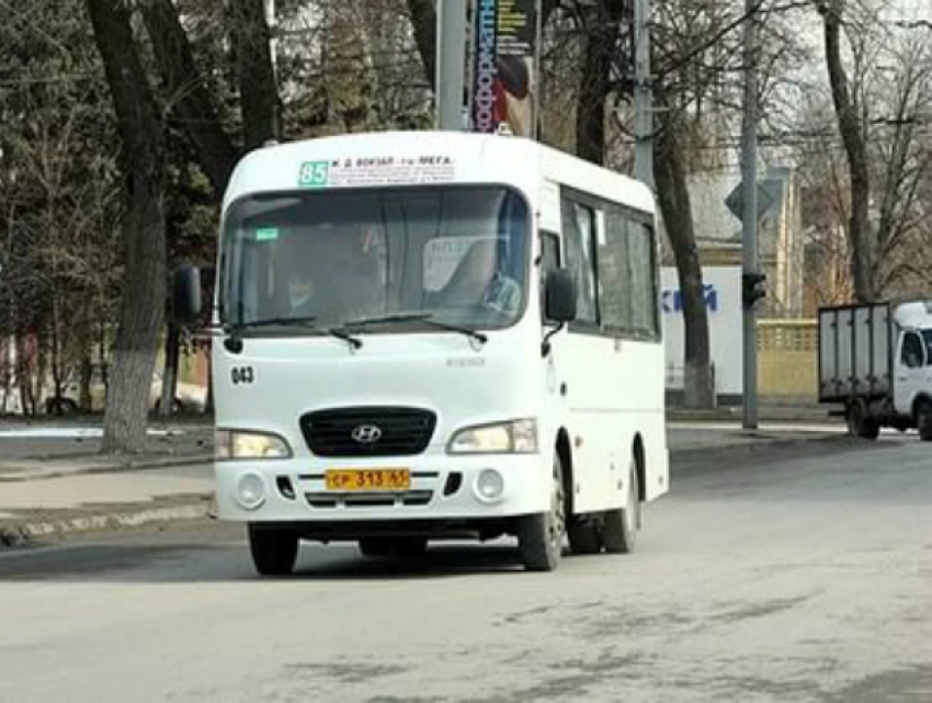 Молодой мужчина, пенсионерка и брюнетка довели до истерики водителя автобуса в Ростове