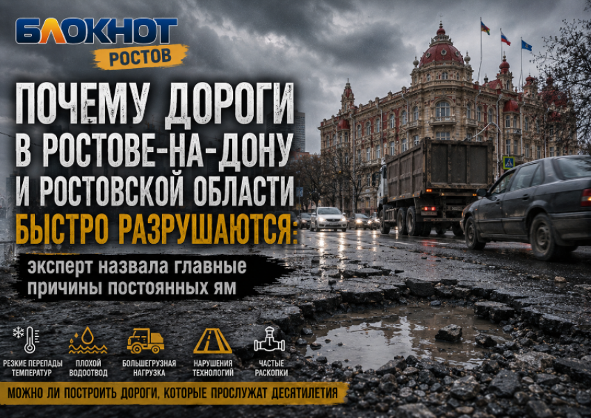 Почему дороги в Ростове-на-Дону и Ростовской области быстро разрушаются: эксперт назвала главные причины постоянных ям
