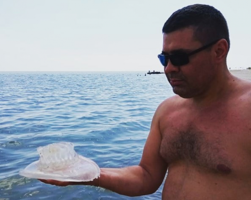 Житель Ростовской области поймал в Таганрогском заливе гигантскую медузу