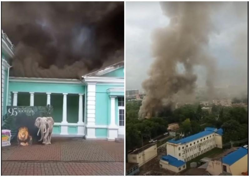 В зоопарке Ростова-на-Дону загорелся  музей и экзотариум