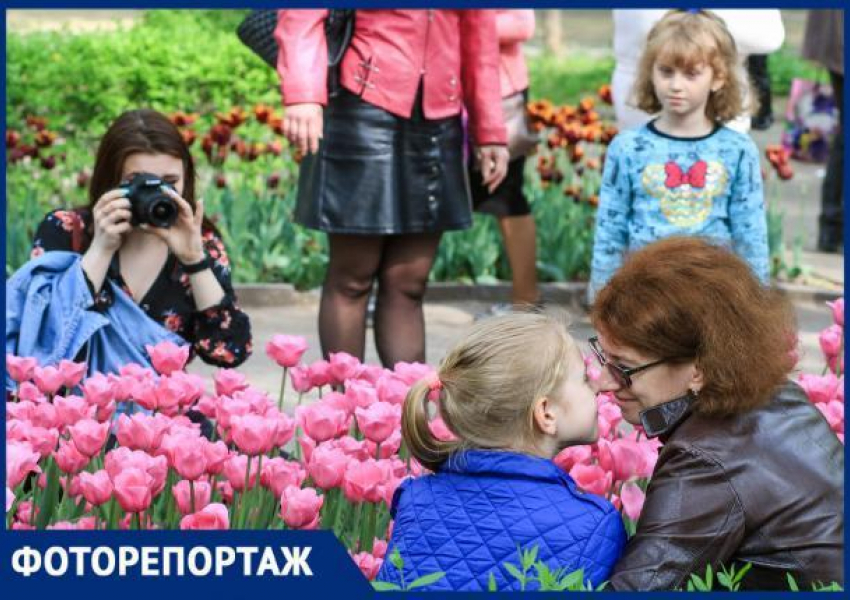 Выступления мотофристайлеров, фестиваль тюльпанов и много спорта: как в Ростове встретили Первое мая