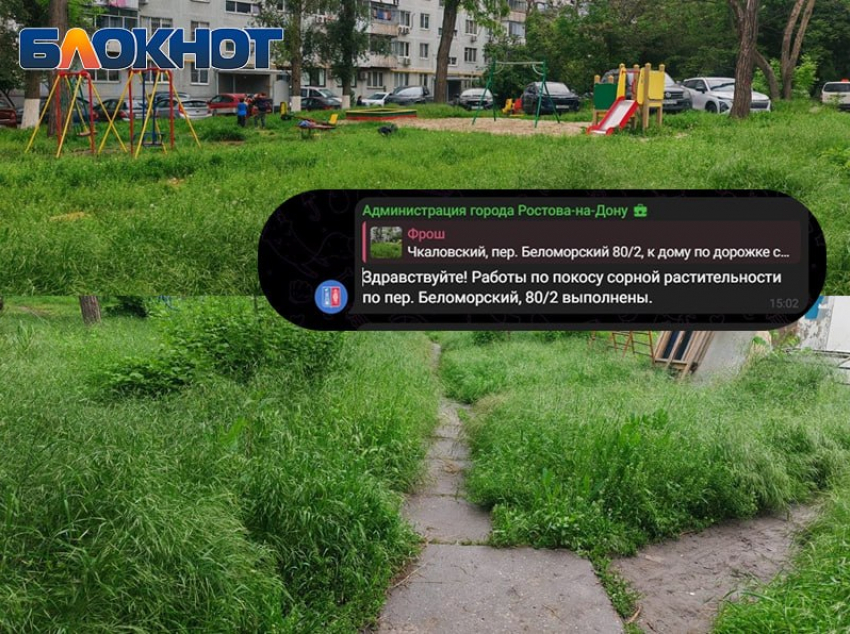 Сорняки остались на месте: коммунальщики оставили высокую траву возле детской площадки в Ростове
