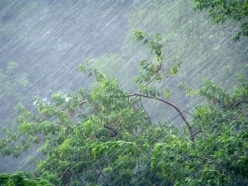 Сильные ливни ожидают ростовчан до конца недели