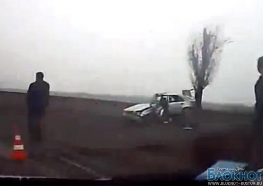 В Ростовской области водитель на Mercedes погиб, врезавшись в дерево 