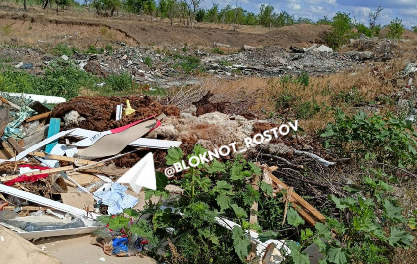 «Глава бездействует»: жители Цимлянска годами тонут в мусоре и задыхаются от дыма